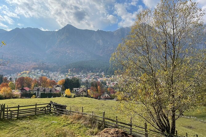 1 Day ATV Tour in Carpathian Mountains - How the small group changes the day