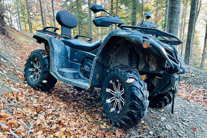 1 Day ATV Tour in Carpathian Mountains - What the $228.29 price really buys