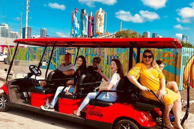1 Hour WYNWOOD BUGGIES tour - The one-hour route through Wynwood’s murals