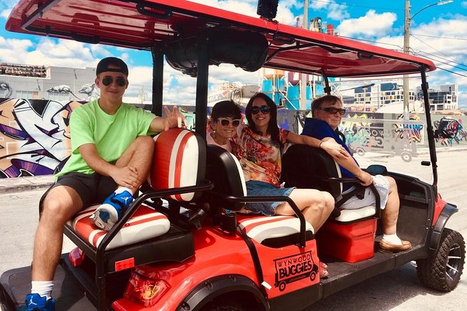 1 Hour WYNWOOD BUGGIES tour - What the $45 price buys you