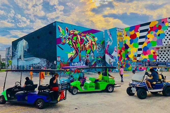 1 Hour WYNWOOD BUGGIES tour - The artist’s point of view is the real benefit