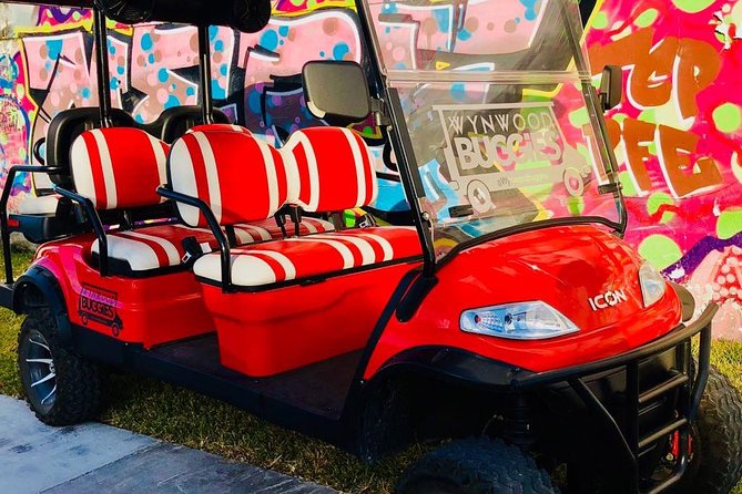 1 Hour WYNWOOD BUGGIES tour - Practical comfort, weather, and photographs