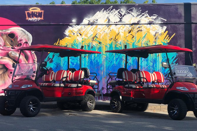 1 Hour WYNWOOD BUGGIES tour - Who will enjoy this Wynwood tour most