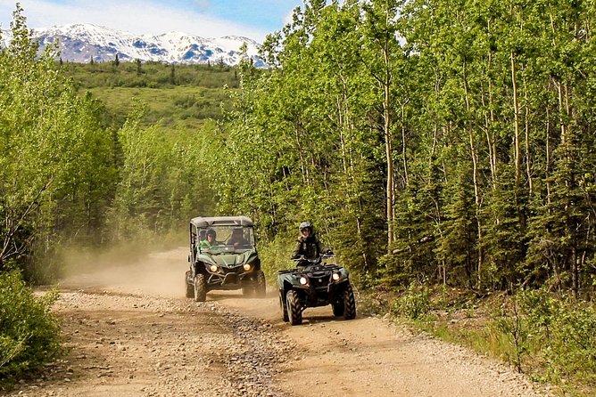 2.5-Hour Denali Wilderness ATV Adventure Tour - Otto Lake, Healy Valley, and the first viewpoints
