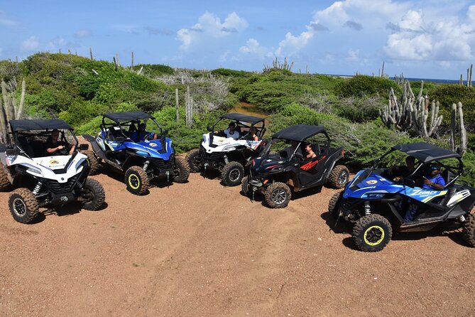 2-Hour Buggy Adventure Tour in Curacao - A dusty route through North Curaçao