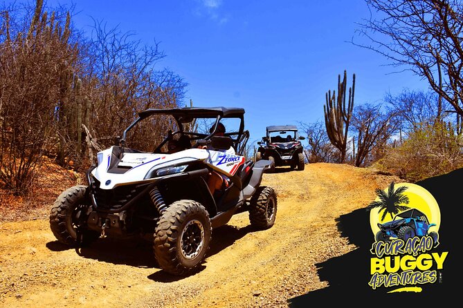 2-Hour Buggy Adventure Tour in Curacao - What the $170 vehicle price really covers