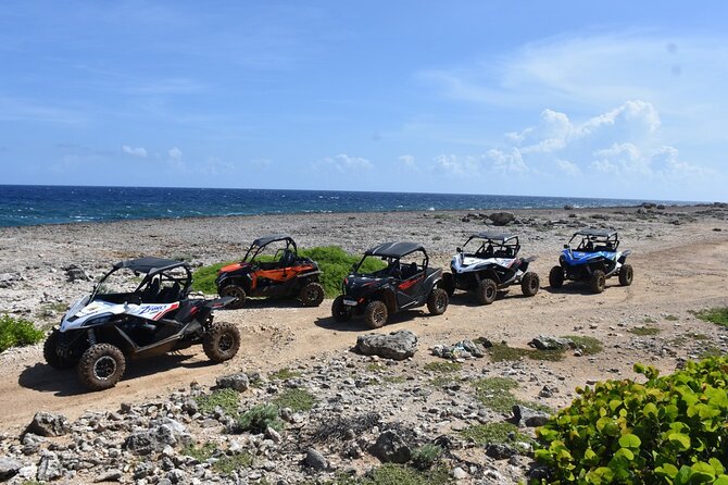 2-Hour Buggy Adventure Tour in Curacao - Practical preparation for a better ride
