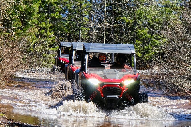 2 Hour High Cascades Scenic ATV Tour in Bend Oregon - Cache Mountain for the wide Cascade view