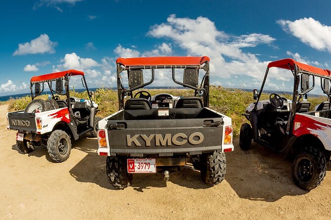 2-Seater UTV Island Tour in Aruba - What the off-road driving really feels like