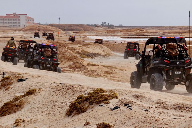2h SSV Buggy Desert Adventure - 1000cc or 500cc - Kite Beach, turtles, and seasonal changes