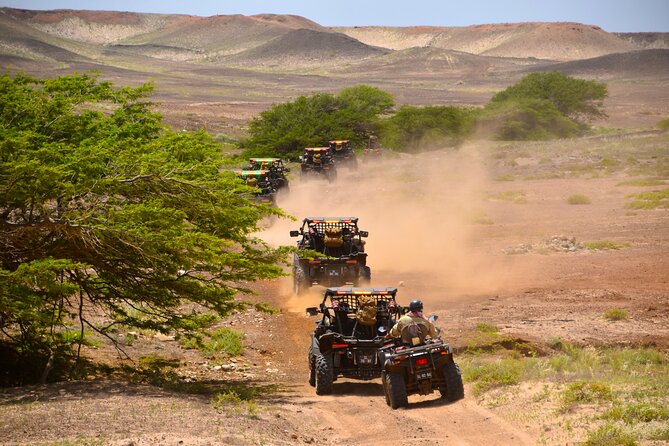2h SSV Buggy Desert Adventure - 1000cc or 500cc - Murdeira Bay and Lion Mountain