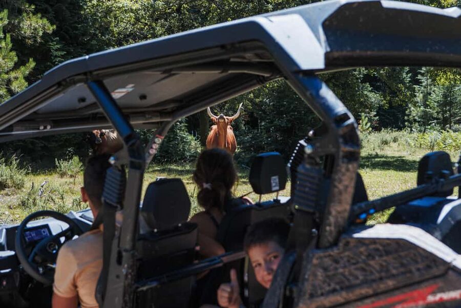 3.5h Buggy Tour • Arcos de Valdevez • Peneda Gerês - Serra do Soajo and the views at 830 meters