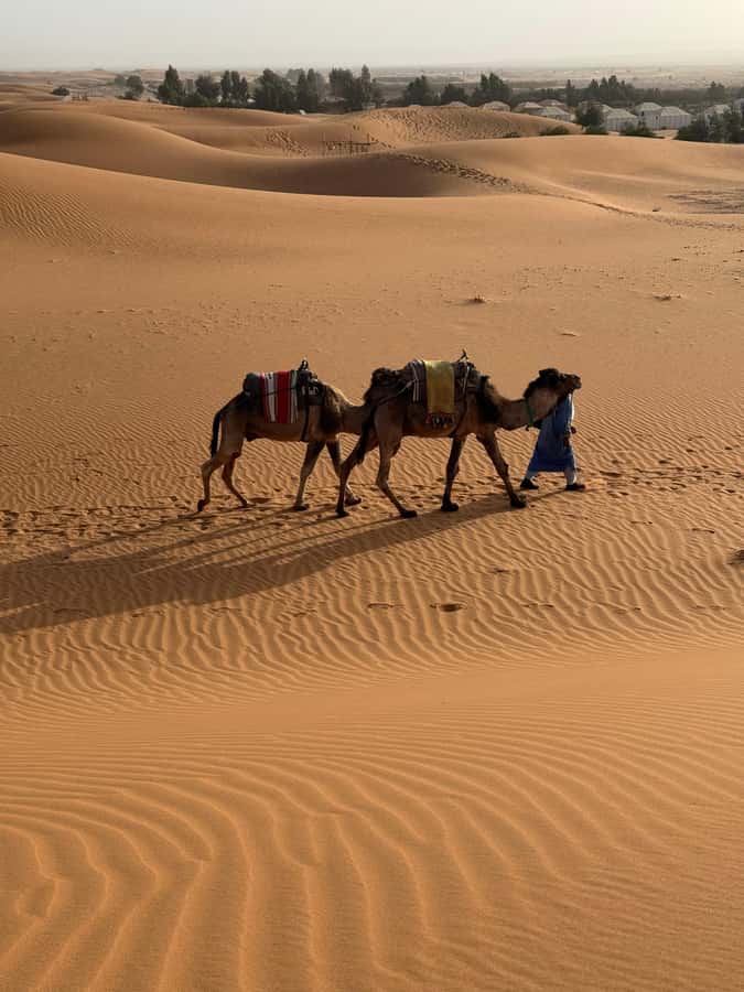 3-Day luxury Adventure: Marrakech to Merzouga incl.Quad/show - What the $214 price really includes