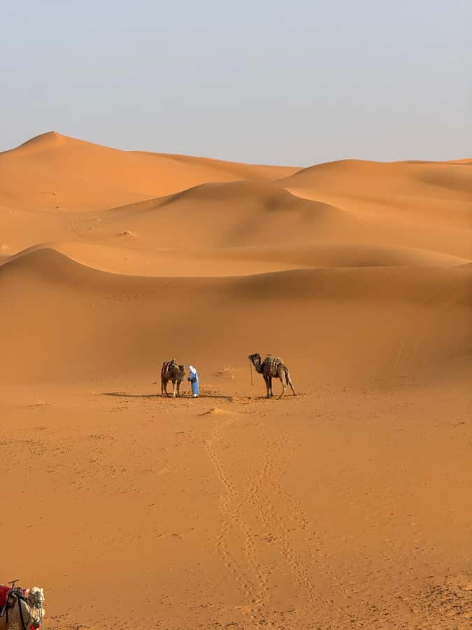 3-Day luxury Adventure: Marrakech to Merzouga incl.Quad/show - Ouarzazate, Skoura, and the Rose Valley