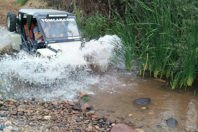 3 Hour Guided TomCar ATV Experience in Sonoran Desert - A real off-road ride, not a desert drive-by