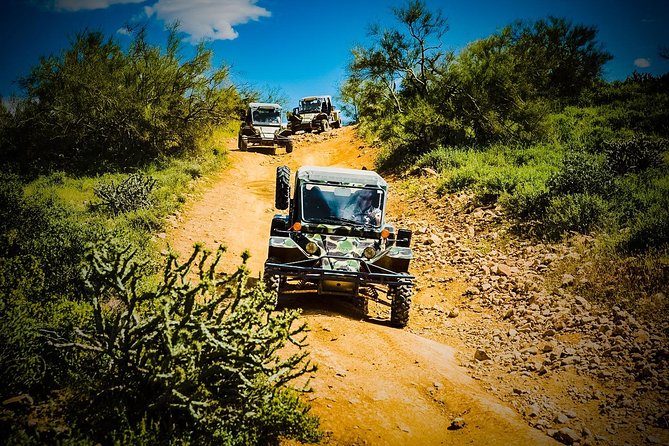 3 Hour Guided TomCar ATV Experience in Sonoran Desert - Price and value at $236.62