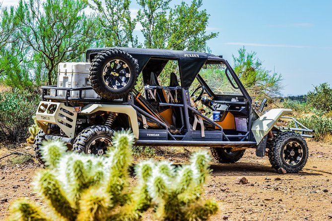 3 Hour Guided TomCar ATV Experience in Sonoran Desert - Comfort, weather, and what to wear
