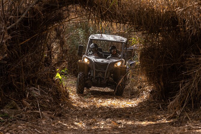 3-hour tour by Buggy or Quad in the Algarve - Weather and cancellation details