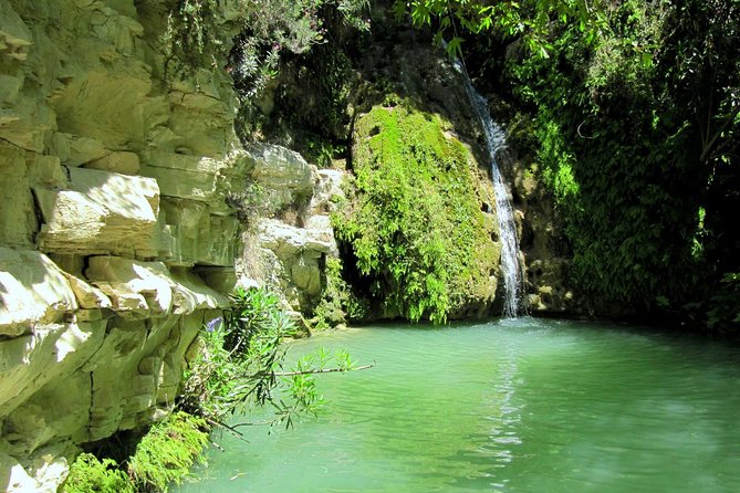 4 hour Quad & Buggy Safari Akamas(lara Bay) & Adonis Falls - A lively way to reach Akamas sights