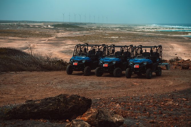 4 seat UTV Rental Adventure - What driving the Honda Pioneer feels like