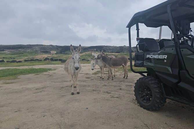 4-seater UTV Island 4hr Tour in Aruba, morning or afternoon - Ayo Rock Formations and the final stretch