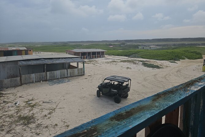 4-seater UTV Island 4hr Tour in Aruba, morning or afternoon - Guides, group size, and the family question