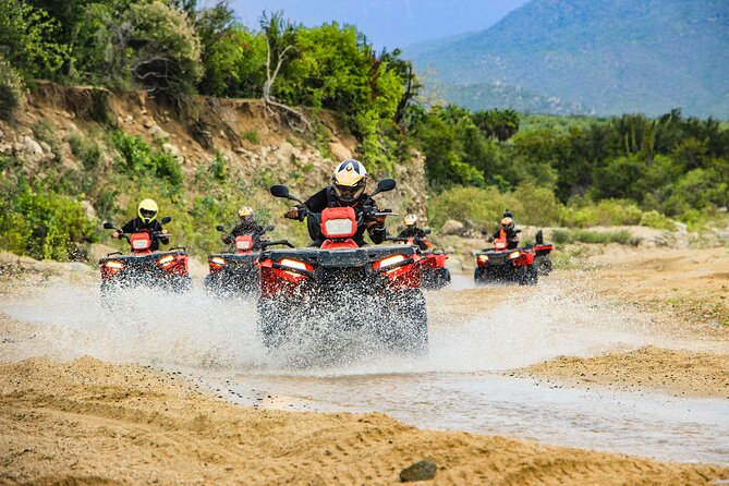 4x4 ATV Adventure with Tequila Tasting and Mexican Buffet Lunch - Key points before you book