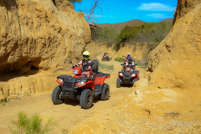4x4 ATV Adventure with Tequila Tasting and Mexican Buffet Lunch - Price, required fees, and real value