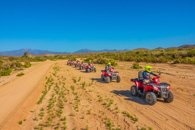 4x4 ATV Adventure with Tequila Tasting and Mexican Buffet Lunch - Who should book this Cabo excursion?