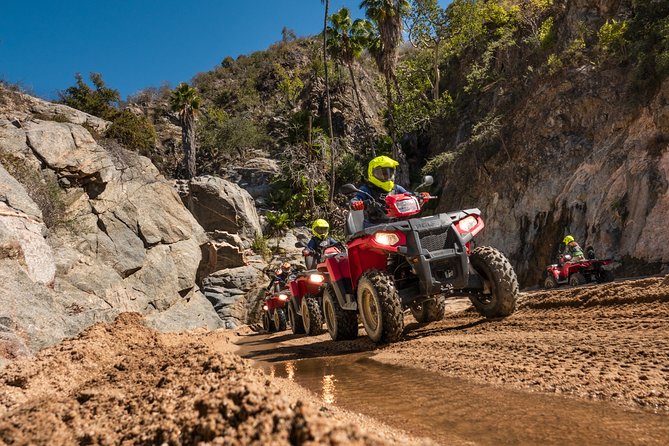 4x4 ATV Adventure with Tequila Tasting and Mexican Buffet Lunch - Should you book it?