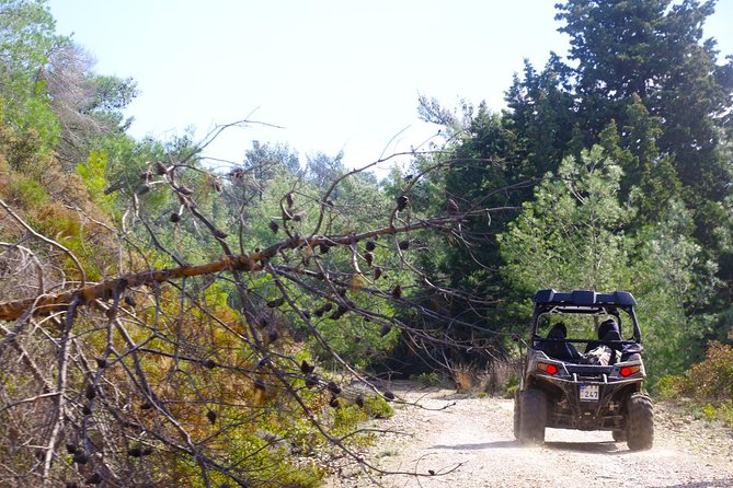 4x4 Buggy Adventures - Off-road Polaris Experience - The farm stop with donkeys, honey, and local produce