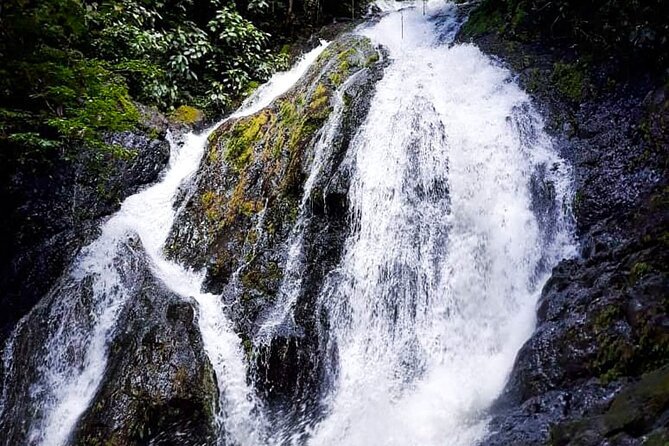 5 Hour Off-Road ATV+ Zipline+ Waterfall Rappelling+ Tractor Jungle Tour - Guides, safety, and group size
