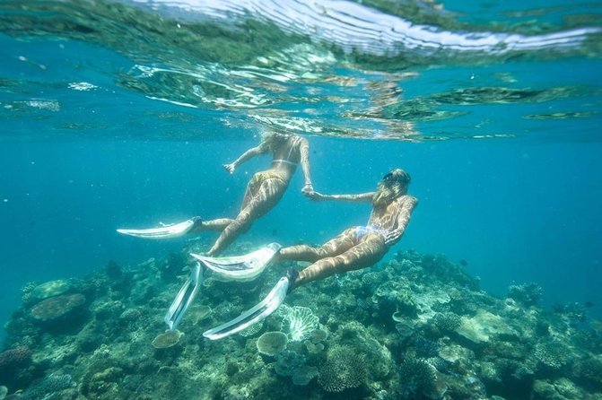 5-in-1 Adventure in Cancun: ATVs, Ziplines, Speed Boat, Snorkel and Cenote Swim - Pickup details and practical planning