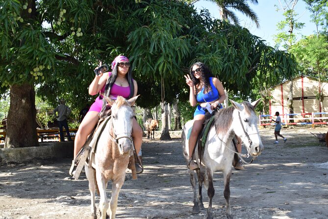 5 tours in 1 (Eco Farm/Horseback/City Tour/Buggy/Zipline) - What $119.99 buys you in one long day