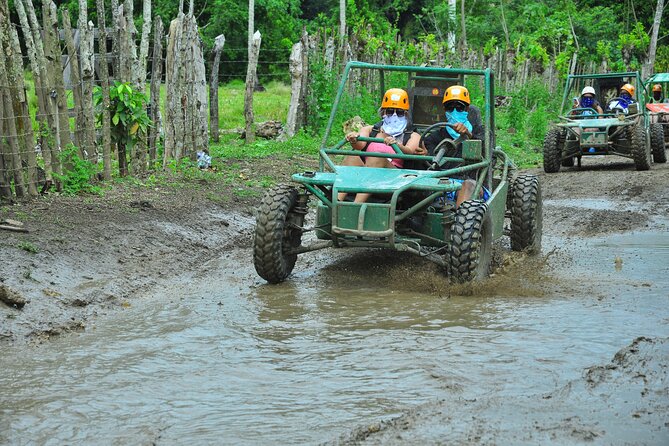 5 tours in 1 (Eco Farm/Horseback/City Tour/Buggy/Zipline) - The coffee and cocoa farm in Anamuya