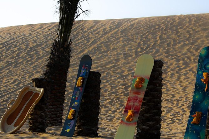Abu Dhabi Desert Safari (Dune Bashing, BBQ Dinner, Camel Ride & Sand Skii) - Camels, falcons, and a short taste of desert life