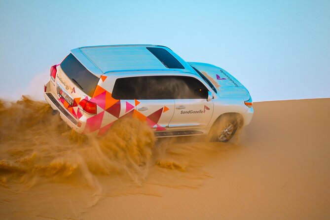 Abu Dhabi Evening Desert Safari - Dune bashing Camel ride and BBQ - A closer look at camels