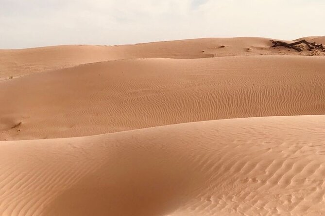 Abu Dhabi Morning Desert Safari,Dune Bashing,Sandboarding,Camel Riding&Quad Bike - Is $120 a fair price?