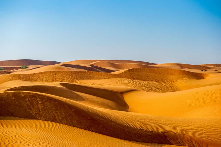 Abu Dhabi Traditional Desert Camp Experience And Quad Bike - From Abu Dhabi streets to open desert