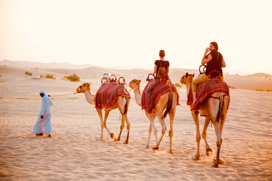 Abu Dhabi Traditional Desert Camp Experience And Quad Bike - Dune bashing across the Abu Dhabi sand