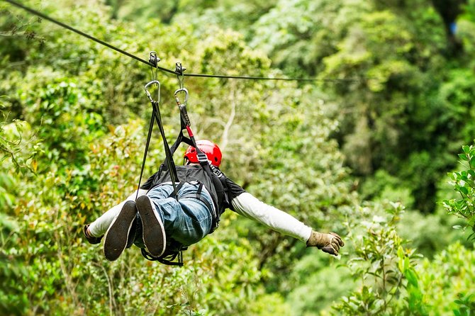 Adrenaline experience from Cancun Atvs Ziplines and a Mayan Cenote - Key points to know before you book