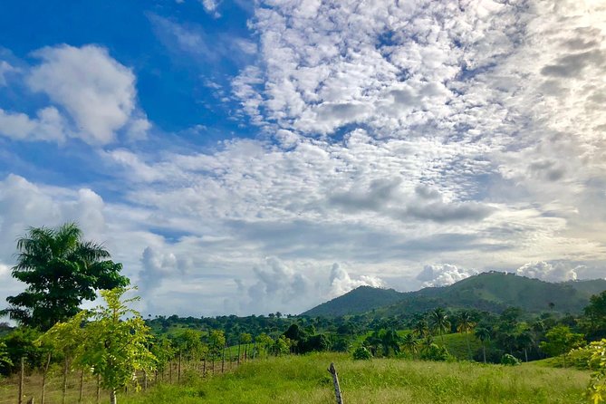 Adventure Bundle: Monkeyland, Ziplines & Buggies Punta Cana - A Dominican lunch at Maria’s house