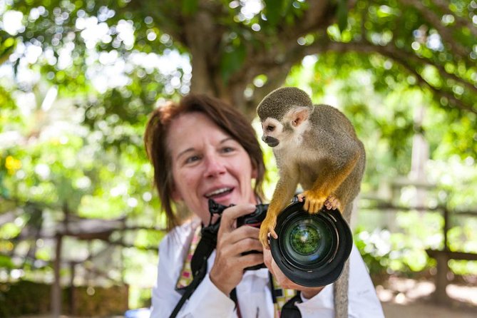 Adventure Bundle: Monkeyland, Ziplines & Buggies Punta Cana - Safety, fitness, and weather