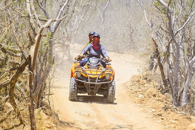 Adventure in Los Cabos Margaritas beach in ATV/UTV desert tour - Practical booking details and cancellation