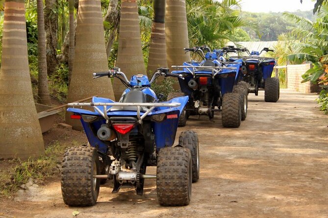 Agadir Adventure Tour with Quad Biking Experience - What the guides add to the outing