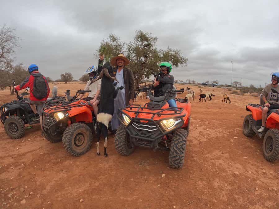 Agadir: Agafay Desert Quad Biking With Goats On The Tree - Who will enjoy this outing most