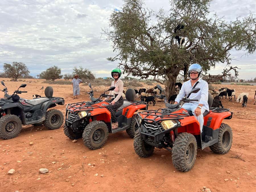 Agadir: ATV Quad Biking and Goats On Argan Trees with Tea - Rocky tracks, steep hills, and plenty of dust