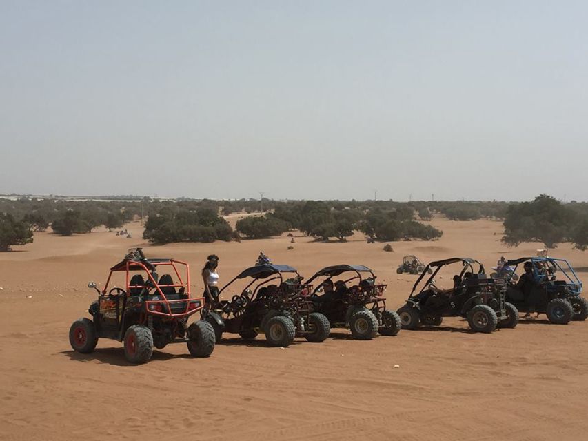 Agadir: Buggy Safari Adventure - Who should book this Agadir buggy safari?