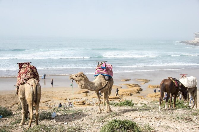 Agadir Dune Quad Bike and Sunset Camel ride Adventure - Guides, safety, and the pace of the day