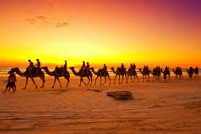 Agadir Dune Quad Bike and Sunset Camel ride Adventure - Who will enjoy this most?